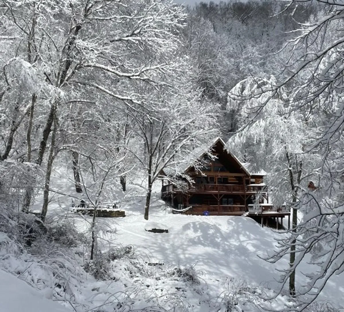 A picturesque log cabin surrounded by snow-covered trees, with a welcoming porch area. The snowy setting hints at cozy winter activities like stargazing, snowball fights, or warming up by the fire after exploring nearby attractions.