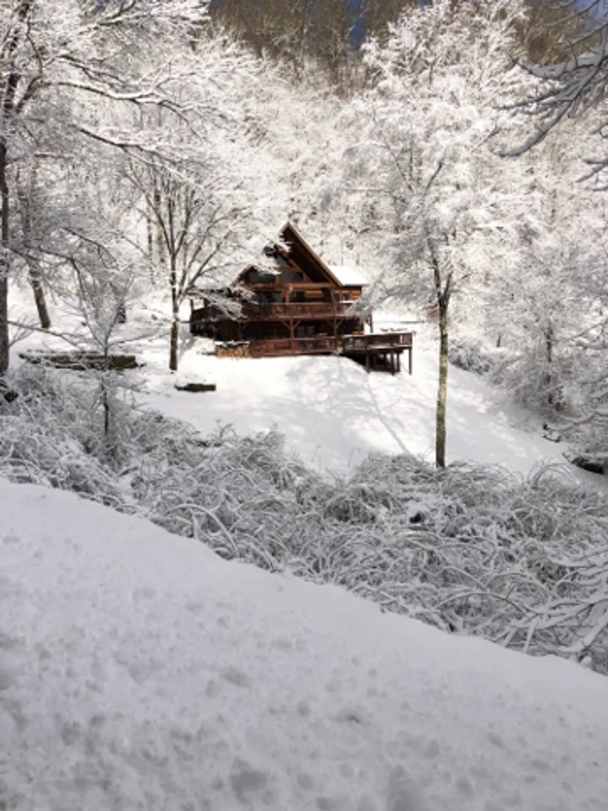A wide-angle view of the cabin nestled among snow-covered trees, highlighting the spacious deck area. The scene evokes a sense of tranquility and adventure, suggesting opportunities for outdoor socializing, enjoying mountain views, and gathering around a fire pit.